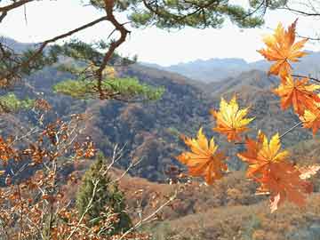 巖神瞳最新探索與應用，未來無限可能展望