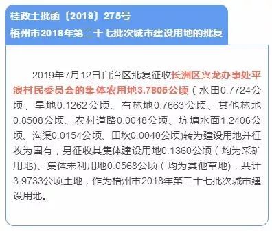 萬秀區(qū)初中最新招聘信息全面概覽