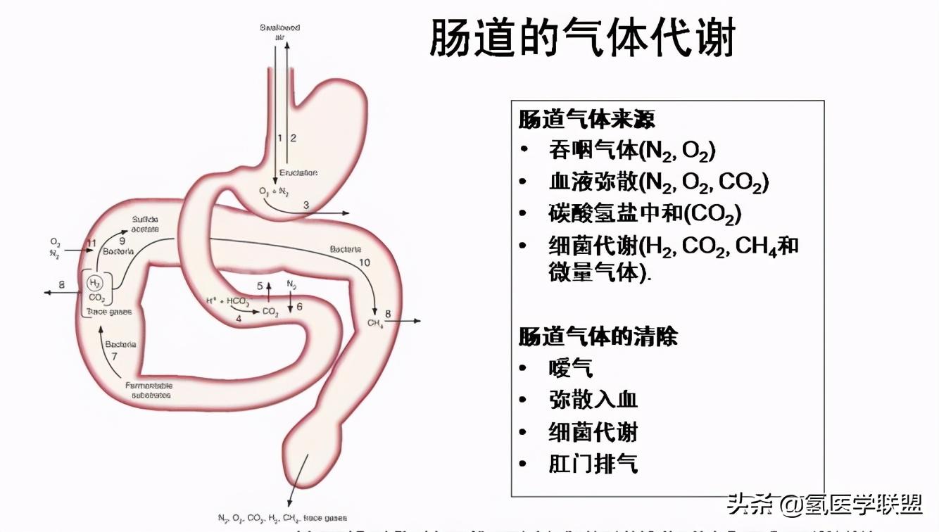 最新款氫氣機(jī)，重塑能源格局的革新力量，引領(lǐng)未來能源革命