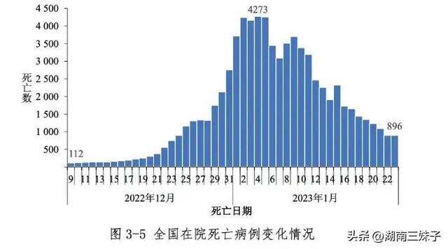 全國(guó)最新疫情死亡情況分析與通報(bào)