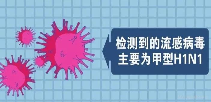 最新流感疫苗死亡事件，事實(shí)與應(yīng)對策略解讀