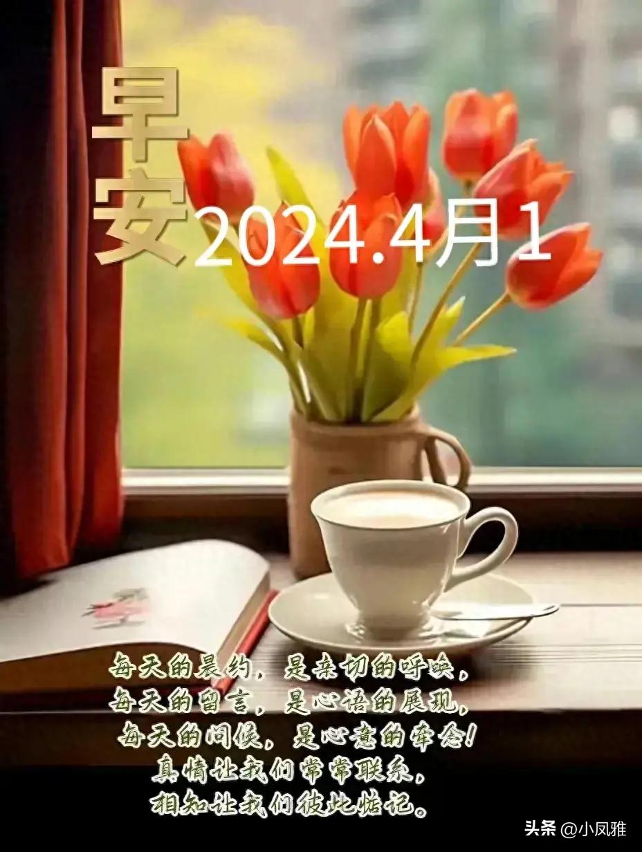 2024年天天彩資料免費大全｜構(gòu)建解答解釋落實