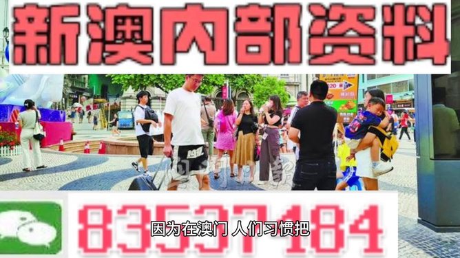 2024澳門正版免費(fèi)精準(zhǔn)大全｜決策資料解釋落實(shí)