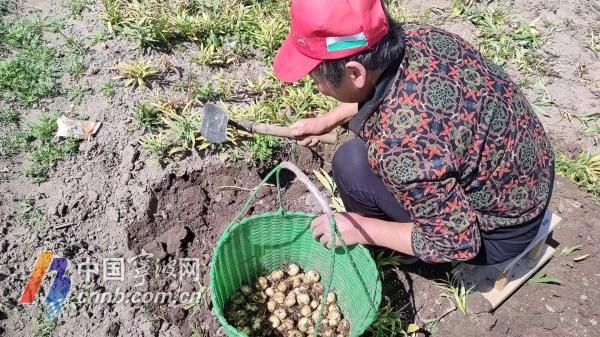 貝農(nóng)最新圖片，揭開全新世界的神秘面紗