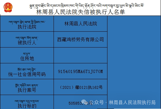 2024精準(zhǔn)資料免費(fèi)大全,效率資料解釋定義_免費(fèi)版86.277