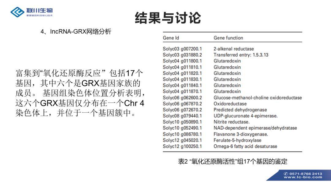 一碼一肖100%的資料,調(diào)整方案執(zhí)行細(xì)節(jié)_XR65.283