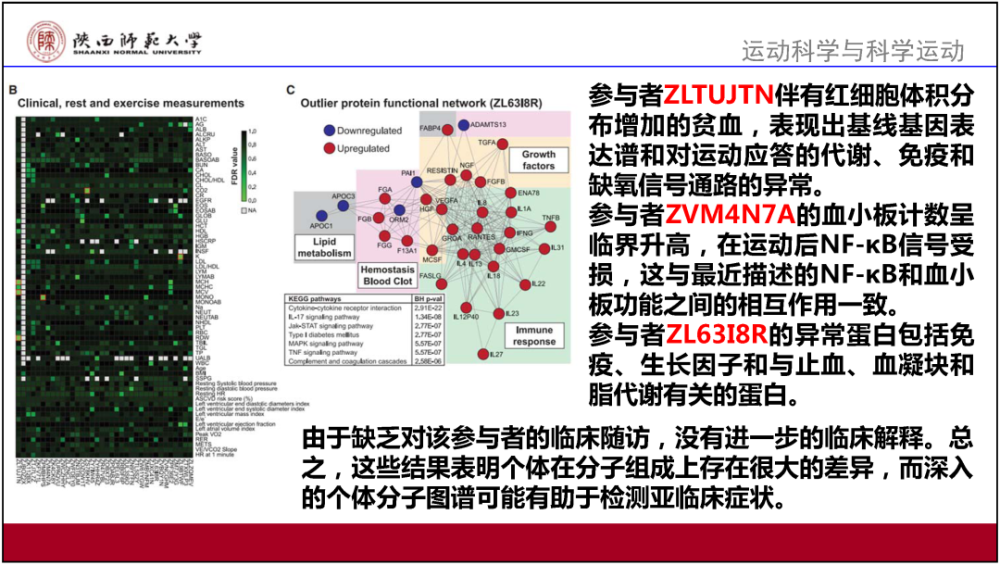 2024澳門(mén)正版精準(zhǔn)免費(fèi),決策資料解釋落實(shí)_36014.660