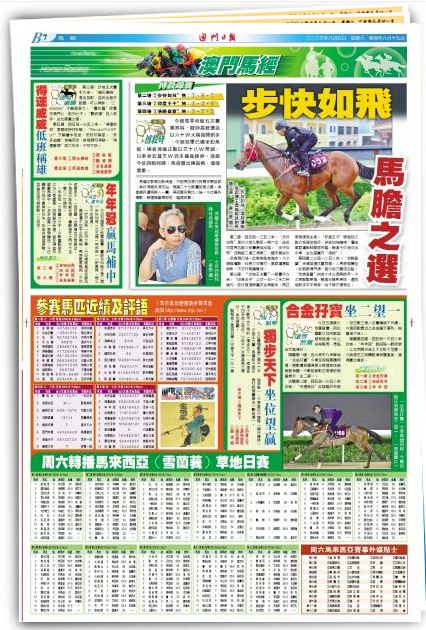 新澳門今晚開特馬開獎2024年11月,實地方案驗證_XR81.238