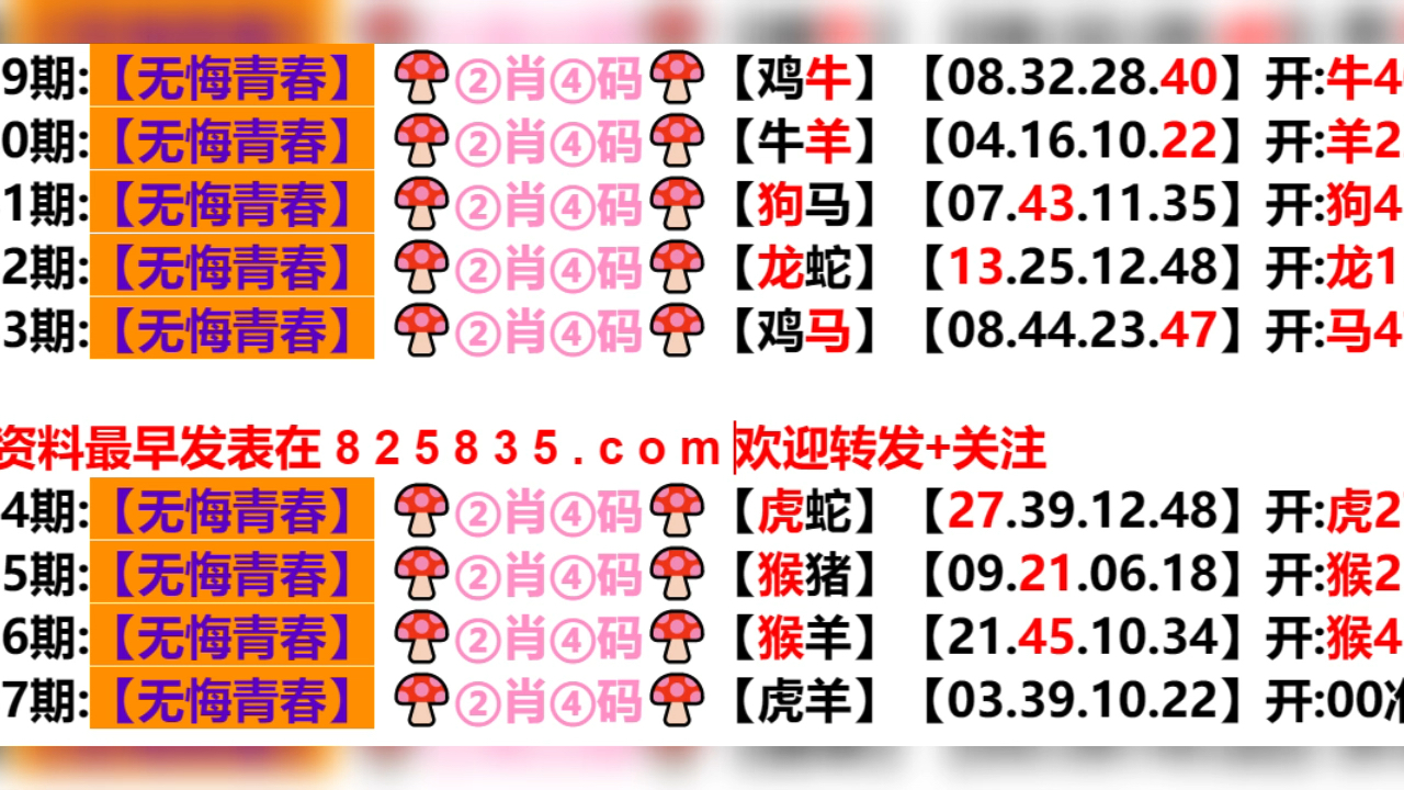 777788888新奧門開獎,效率資料解釋落實_終極版41.308