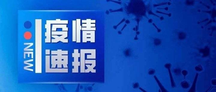 冠狀病毒疫情最新通報更新，疫情動態(tài)與防控進展