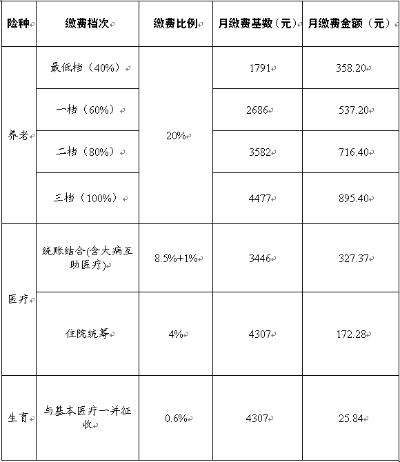 成都最新社保繳費(fèi)明細(xì)詳解與解析