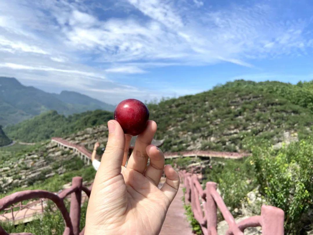 宜賓周邊游最新熱門景點(diǎn)推薦探秘