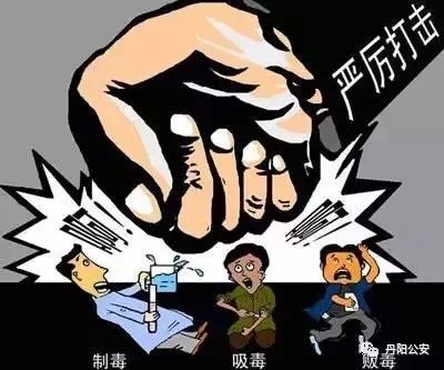 最新丹陽毒案揭秘，深度解析與探討