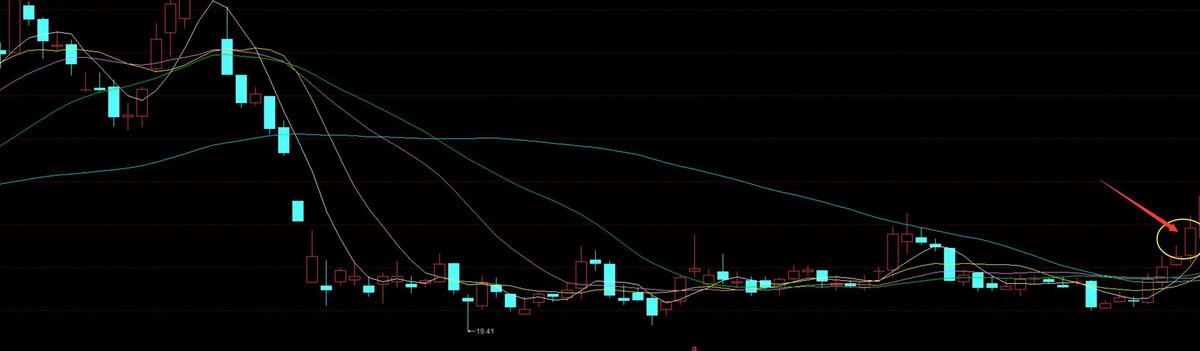 新股票最新行情深度解析與動(dòng)態(tài)概覽