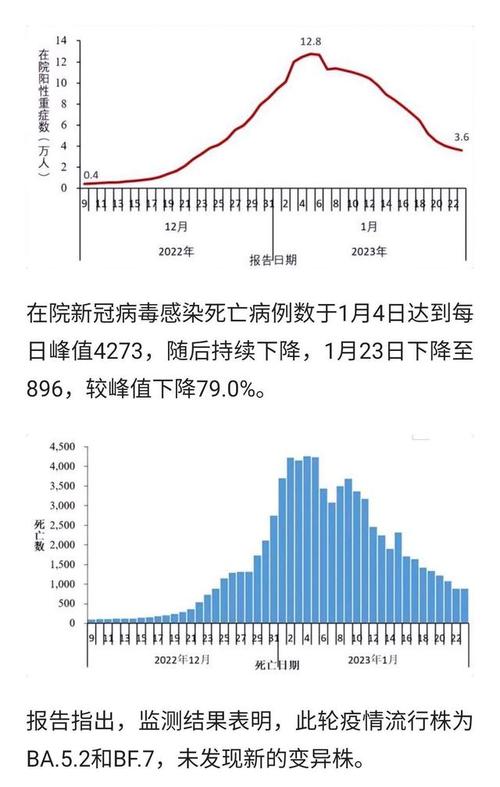 國(guó)最新疫情通報(bào)，全面應(yīng)對(duì)，共克時(shí)艱之際