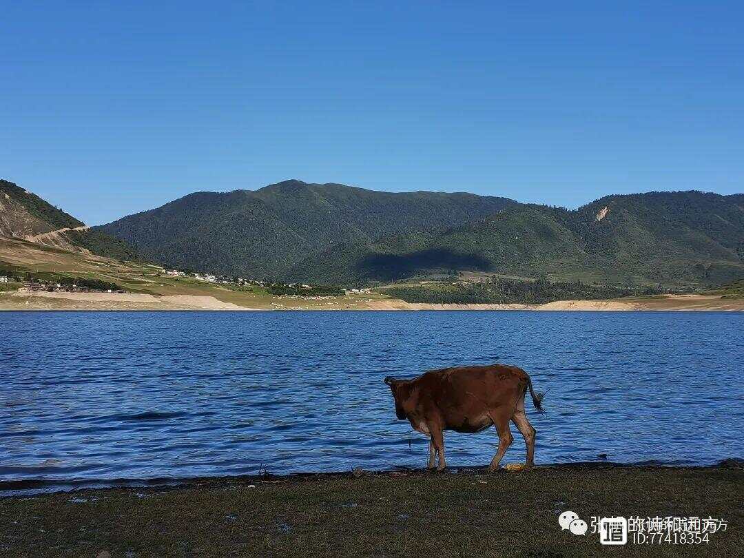 冶勒湖最新動(dòng)態(tài)與魅力展現(xiàn)，最新信息與美景一覽