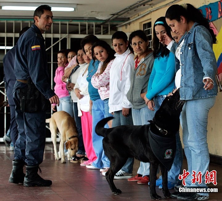 最新女子監(jiān)獄，重塑女性罪犯的未來之路之旅